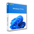 Windows 11 Pro