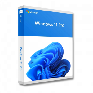Windows 11 Pro